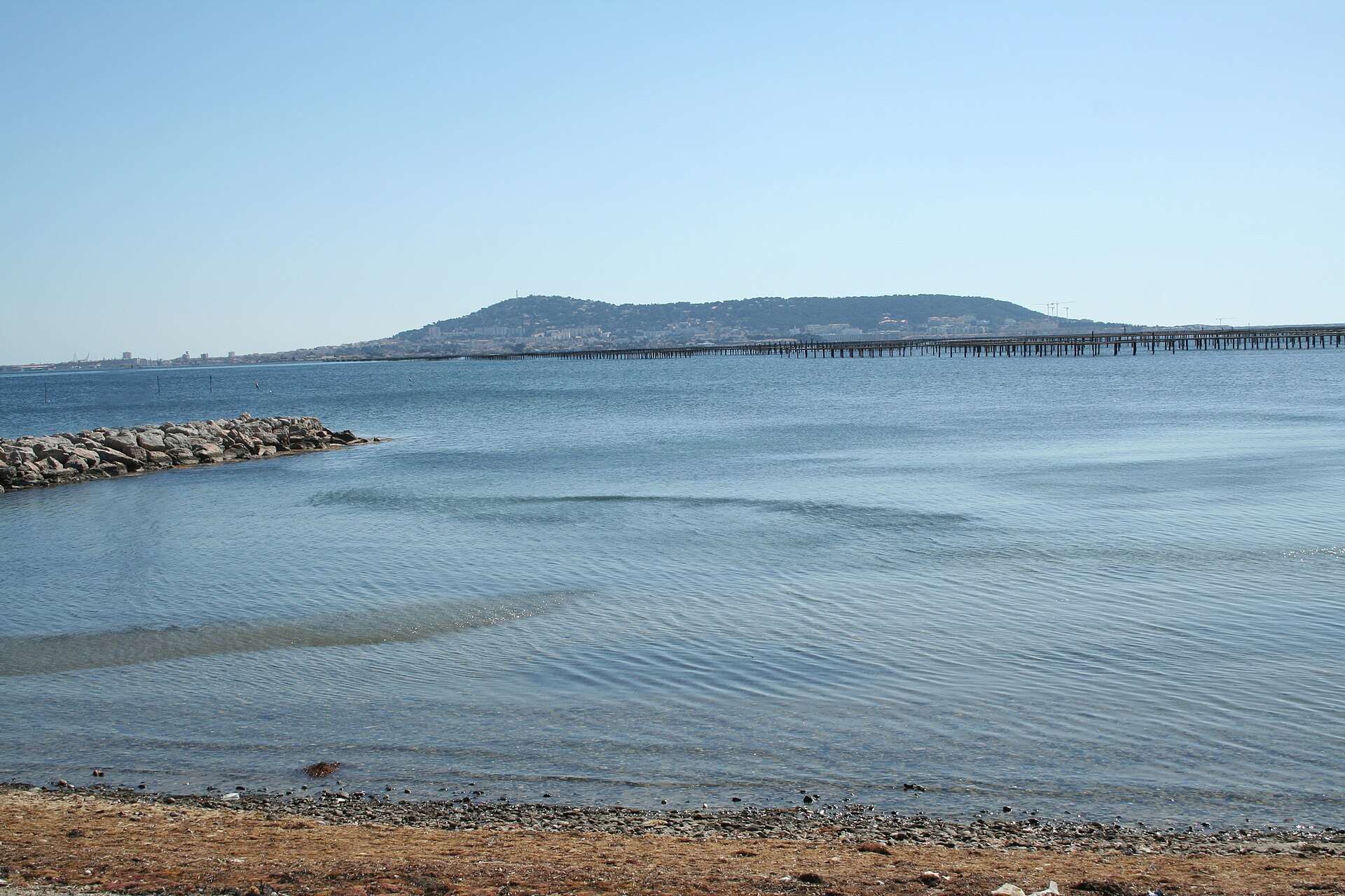 Sete oysters Etang de Thau