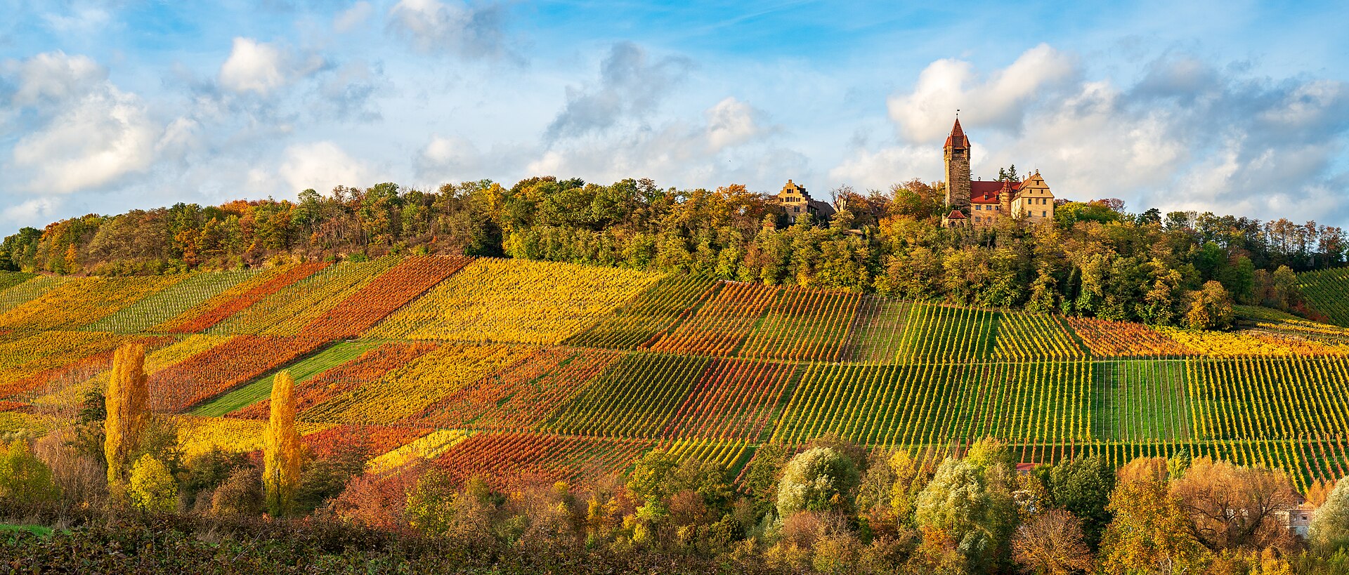 vineyard autumn colours France