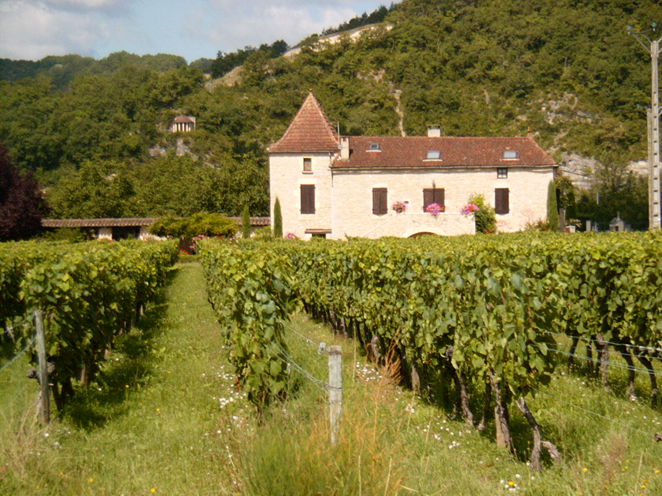 Cahors vineyard Lot valley