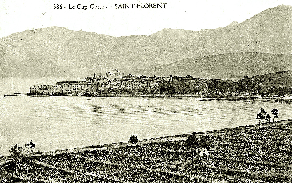 Corsica vineyard mountains sea