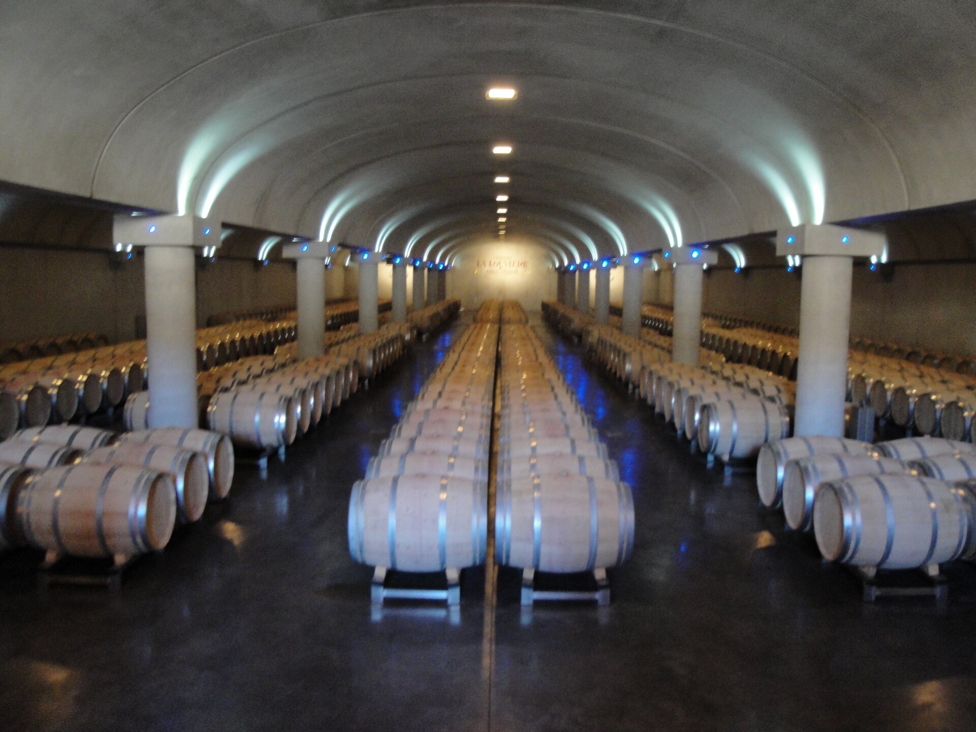 wine cellar barrels France