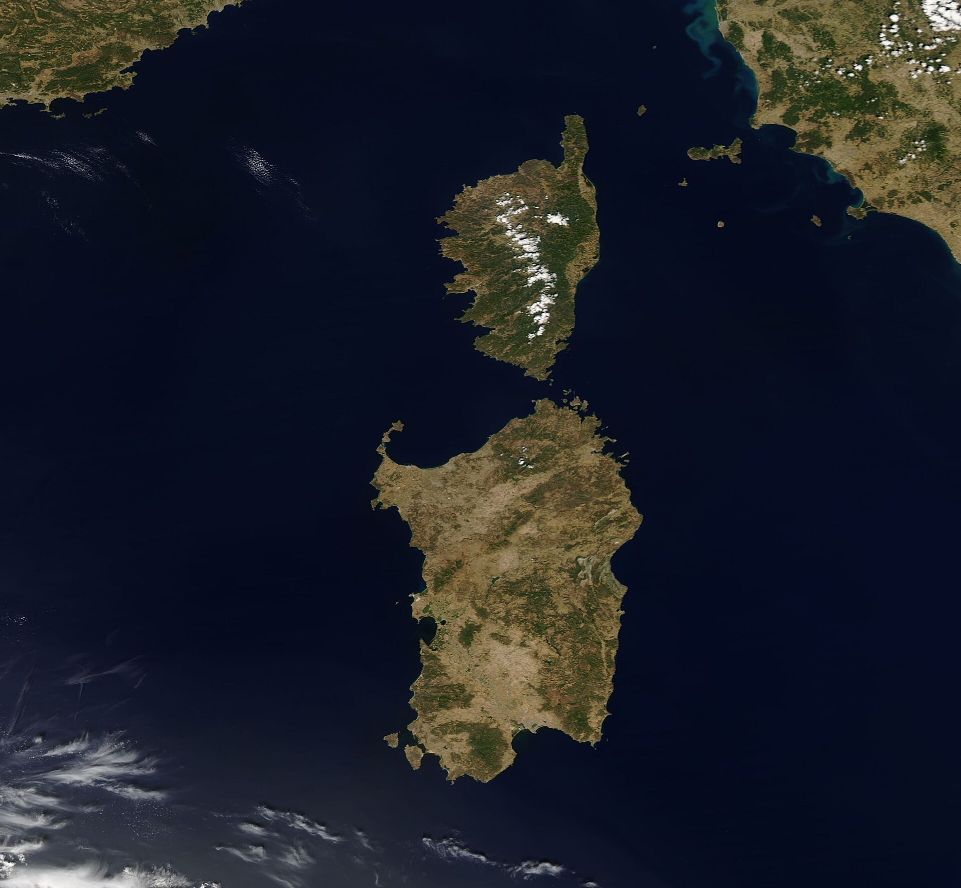 Corsica coastline vineyard