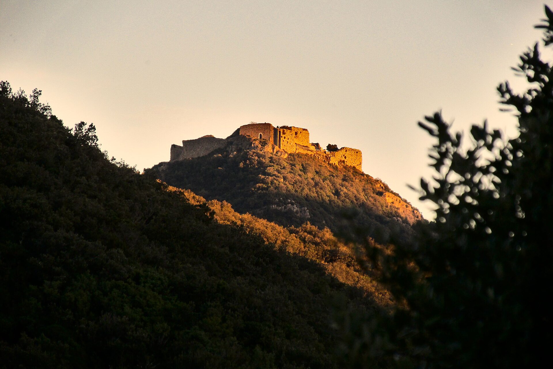 Cathar castle Languedoc hilltop