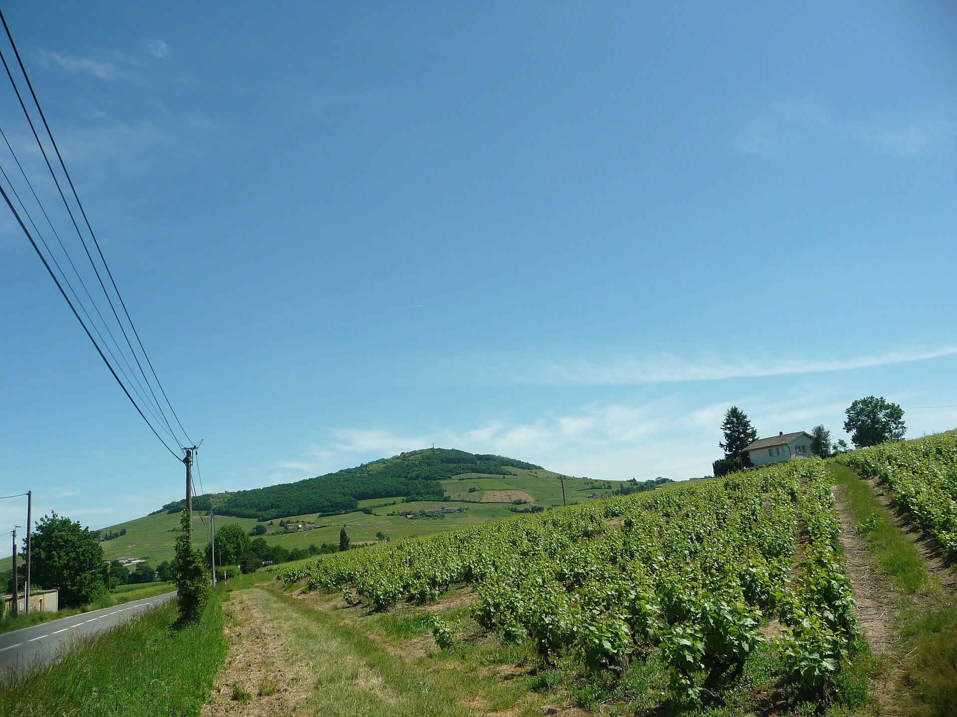 road through vineyards France