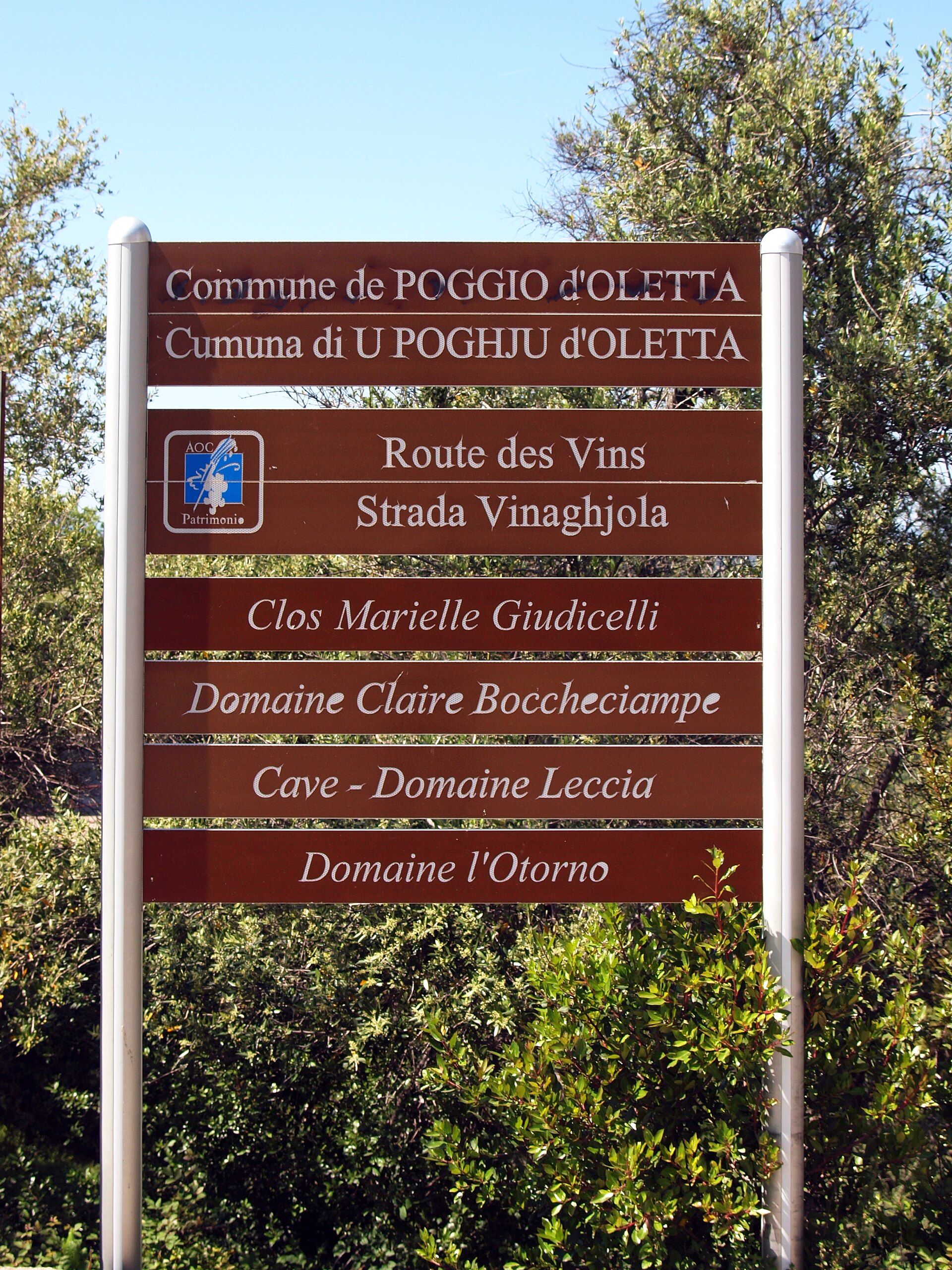 Patrimonio vineyard Corsica