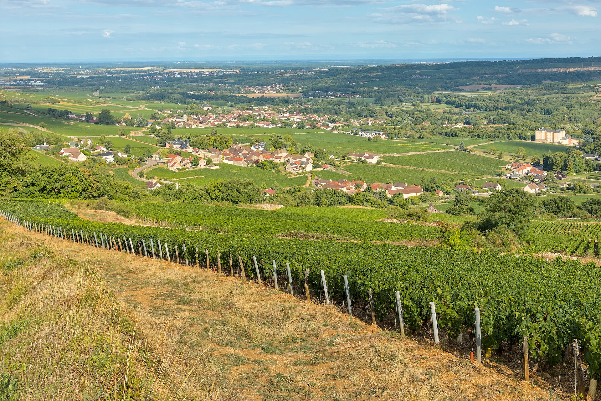 French hill village vineyard