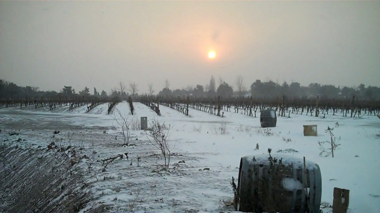 Cabardes vineyard Aude