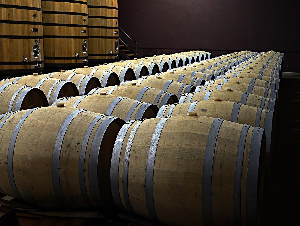 Armagnac barrels cellar
