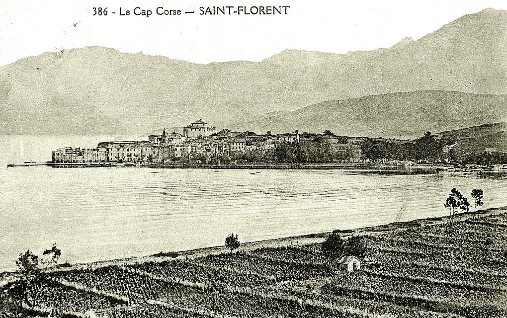 Corsica vineyard mountains sea