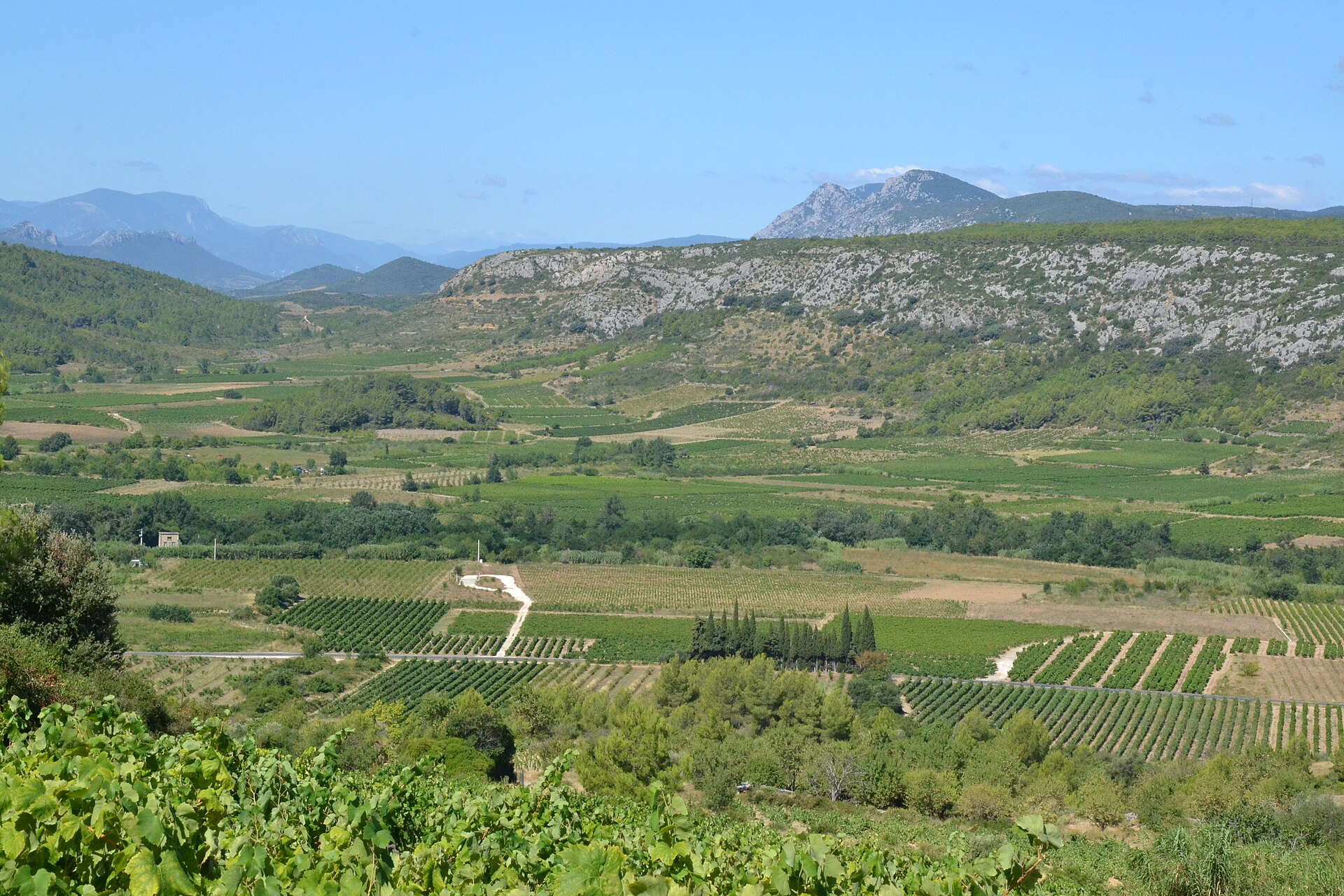 Corbieres vineyard hills France